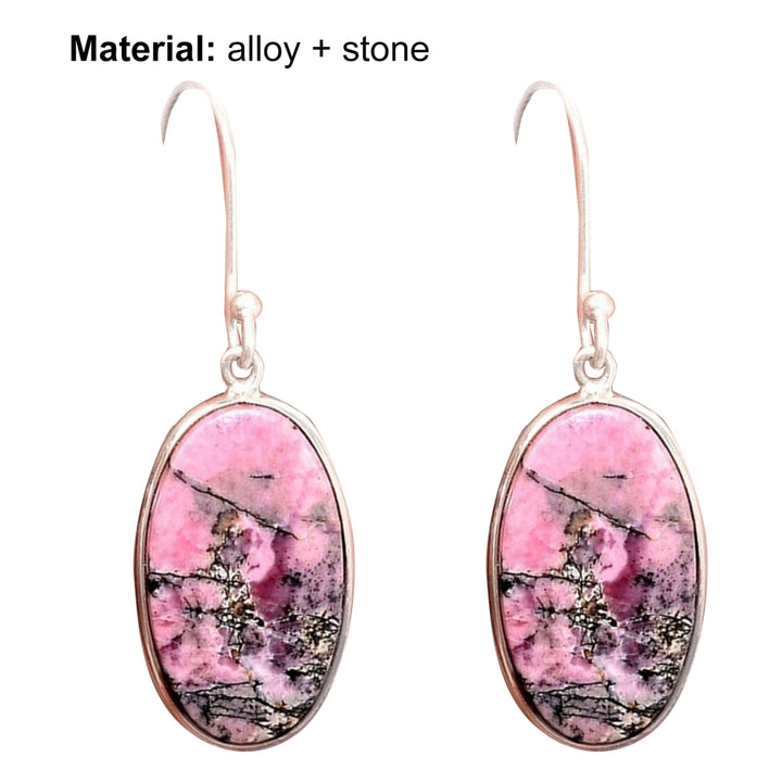 1 Pair Hook Earrings Skin-friendly Rust-proof Alloy Fashion Jewelry Women Earrings for Girl Image 11
