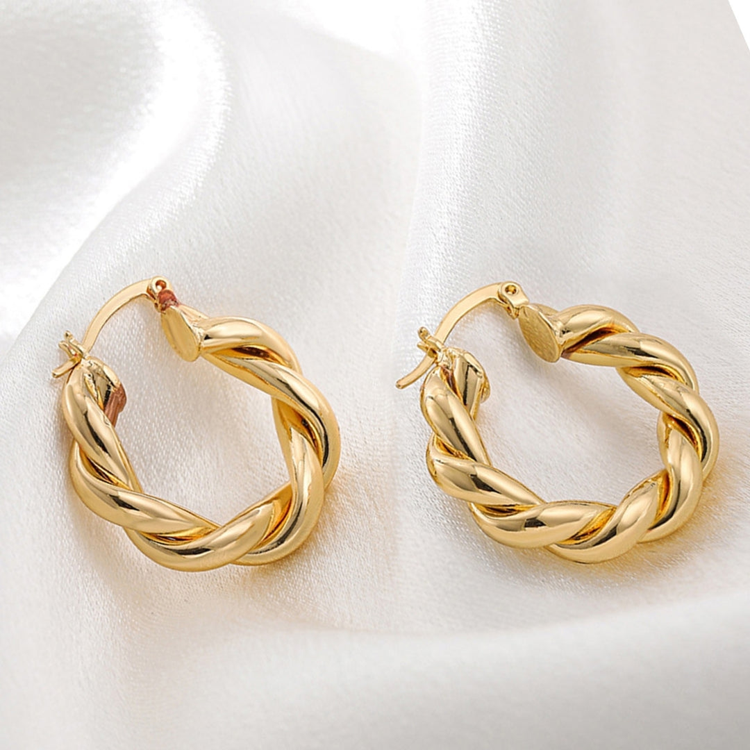 1 Pair Hoop Earrings Thick Twisted Alloy Hypoallergenic Elegant Hoops Earrings Set for Women Image 4