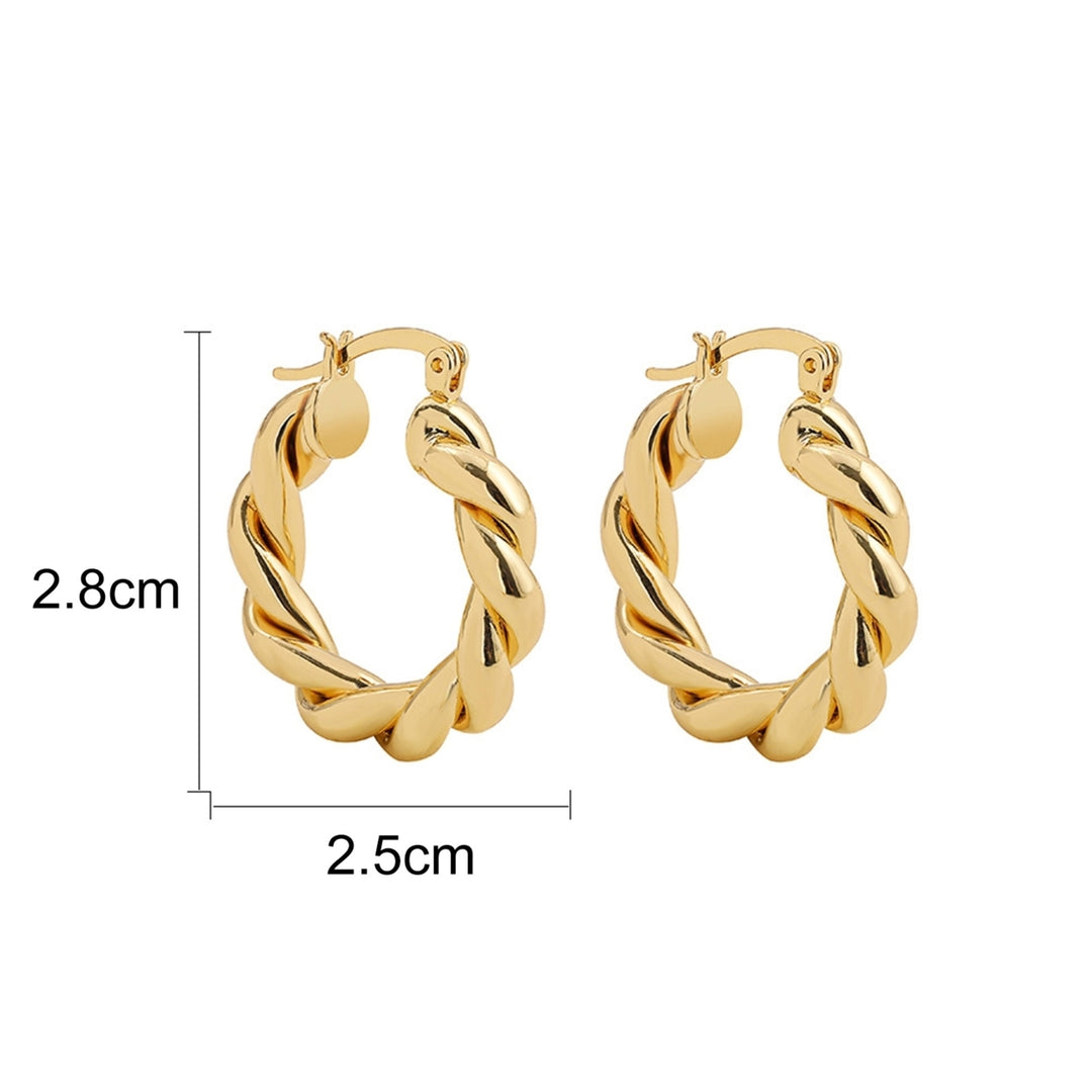 1 Pair Hoop Earrings Thick Twisted Alloy Hypoallergenic Elegant Hoops Earrings Set for Women Image 4