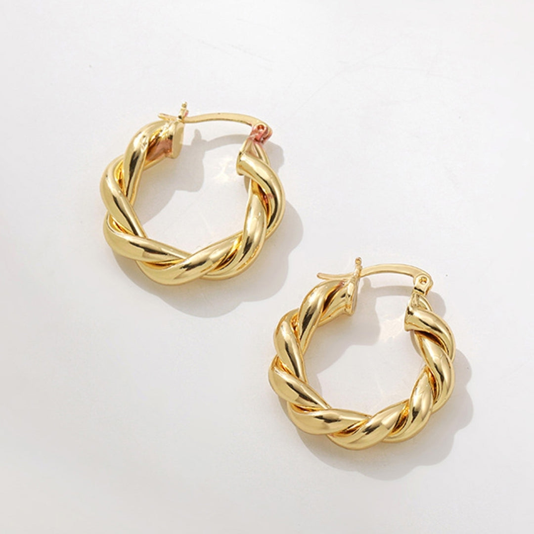 1 Pair Hoop Earrings Thick Twisted Alloy Hypoallergenic Elegant Hoops Earrings Set for Women Image 6