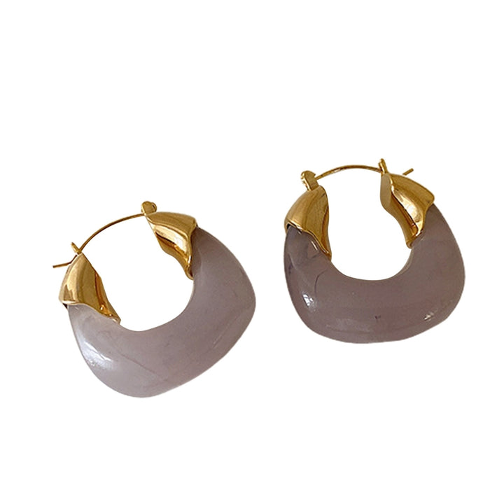1 Pair Resin Earrings All-match Decorative Glossy Retro Stud Hook Hoop Earrings for Wedding Image 2