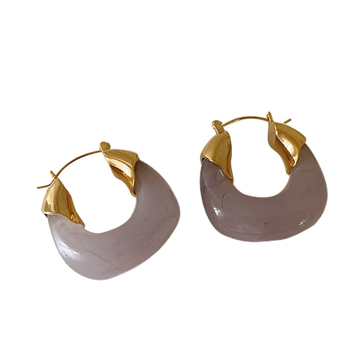 1 Pair Resin Earrings All-match Decorative Glossy Retro Stud Hook Hoop Earrings for Wedding Image 1