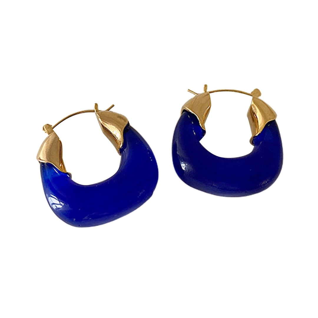 1 Pair Resin Earrings All-match Decorative Glossy Retro Stud Hook Hoop Earrings for Wedding Image 3