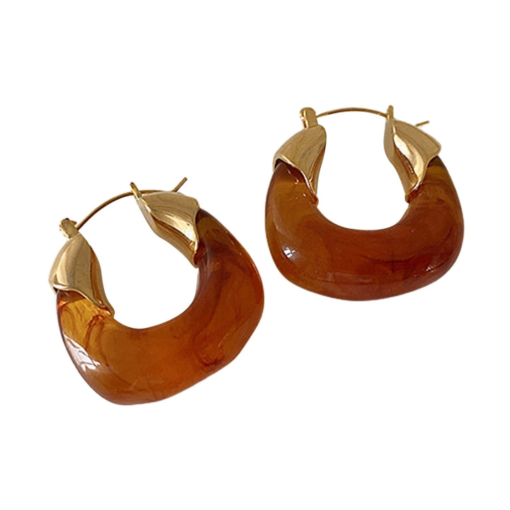 1 Pair Resin Earrings All-match Decorative Glossy Retro Stud Hook Hoop Earrings for Wedding Image 4