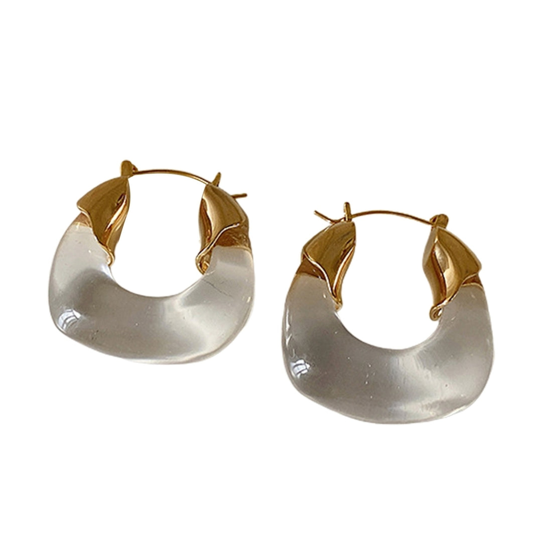 1 Pair Resin Earrings All-match Decorative Glossy Retro Stud Hook Hoop Earrings for Wedding Image 6