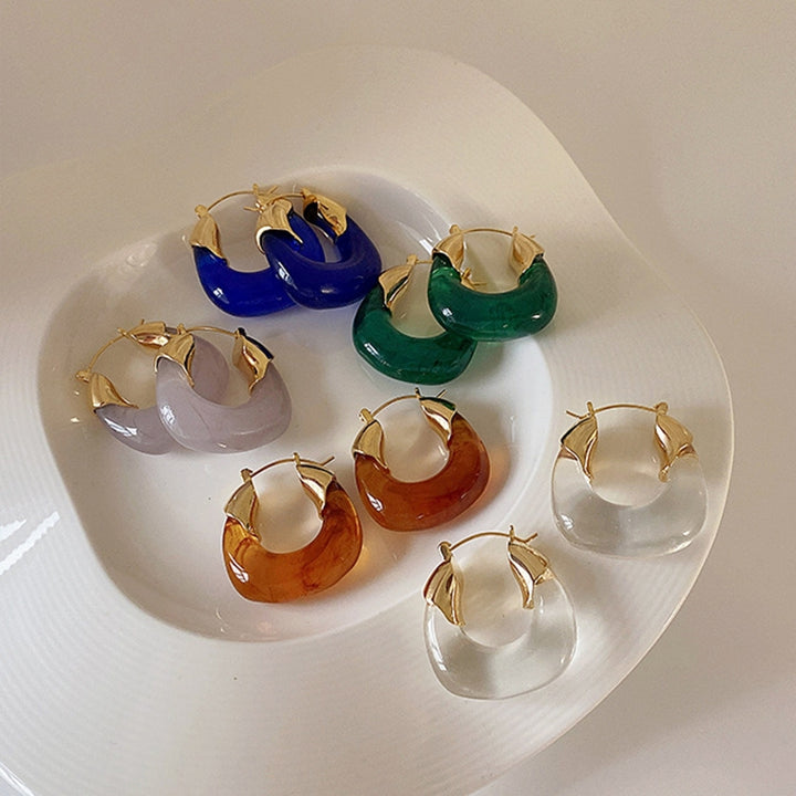 1 Pair Resin Earrings All-match Decorative Glossy Retro Stud Hook Hoop Earrings for Wedding Image 7