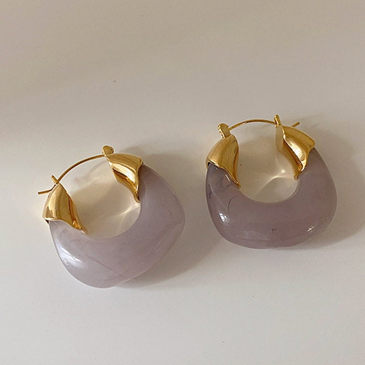 1 Pair Resin Earrings All-match Decorative Glossy Retro Stud Hook Hoop Earrings for Wedding Image 9
