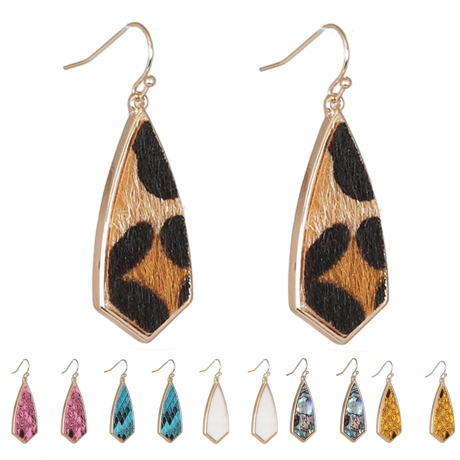 1 Pair Drop Earrings Simple Delicate Alloy Leopard Print Geometric Women Hook Earrings for Dating Image 1