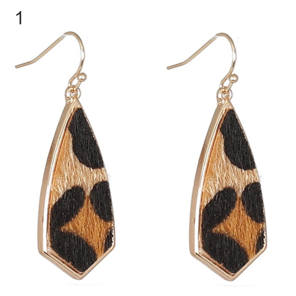 1 Pair Drop Earrings Simple Delicate Alloy Leopard Print Geometric Women Hook Earrings for Dating Image 2