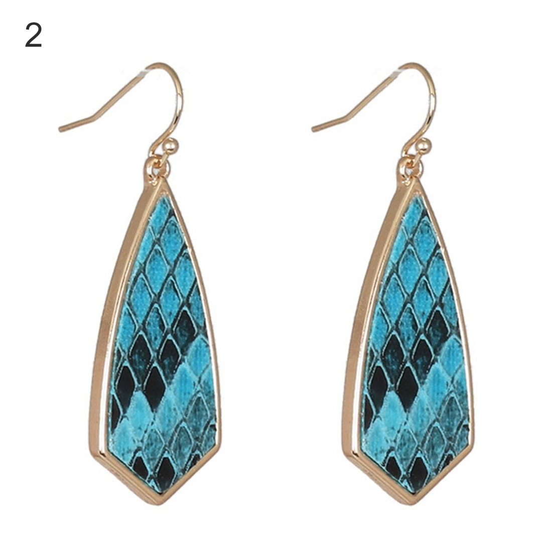 1 Pair Drop Earrings Simple Delicate Alloy Leopard Print Geometric Women Hook Earrings for Dating Image 3