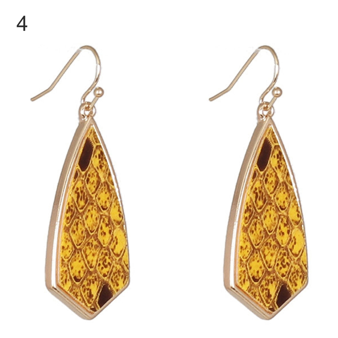 1 Pair Drop Earrings Simple Delicate Alloy Leopard Print Geometric Women Hook Earrings for Dating Image 4