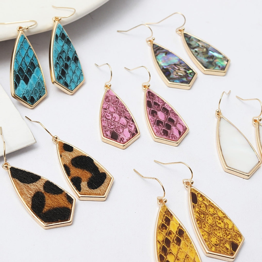 1 Pair Drop Earrings Simple Delicate Alloy Leopard Print Geometric Women Hook Earrings for Dating Image 9