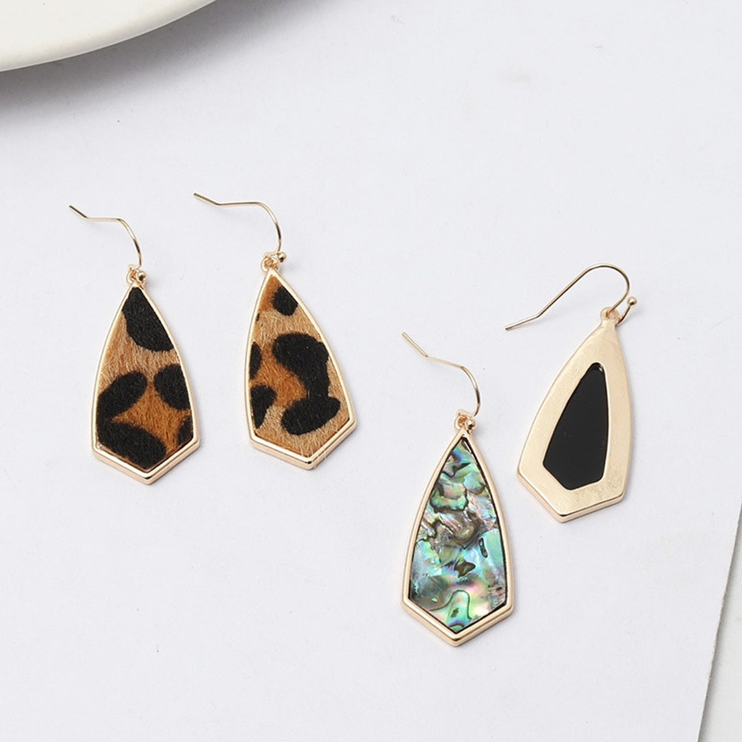 1 Pair Drop Earrings Simple Delicate Alloy Leopard Print Geometric Women Hook Earrings for Dating Image 10