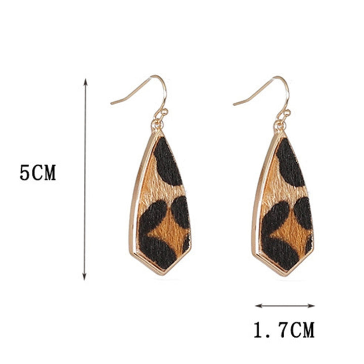 1 Pair Drop Earrings Simple Delicate Alloy Leopard Print Geometric Women Hook Earrings for Dating Image 11