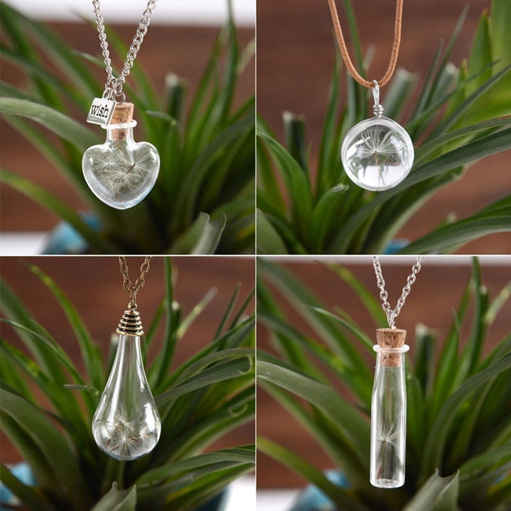 Unisex Dried Dandelion Bow-knot Pendant Glass Wish Bottle Long Chain Necklace Image 9