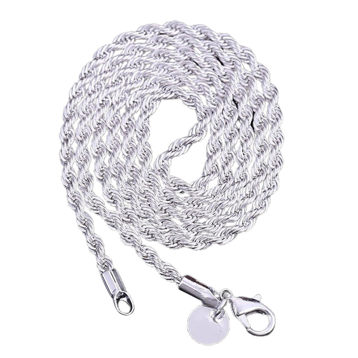 Unisex Fashion 18-30 inch Necklace Twisted Chain Pendant Jewelry Gift for Dating Image 1