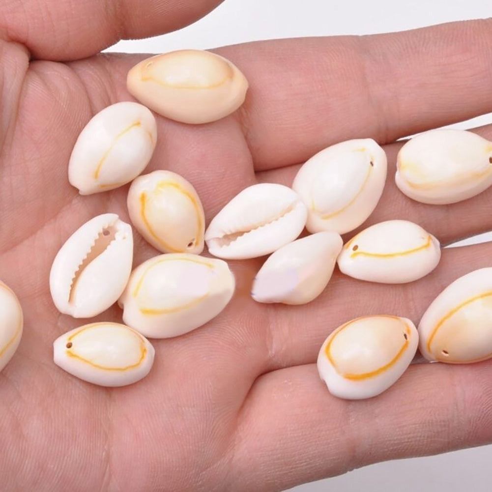 20Pcs Natural Shell Beads with Drilled Hole DIY Craft Tribal Jewelry Accessory Image 2