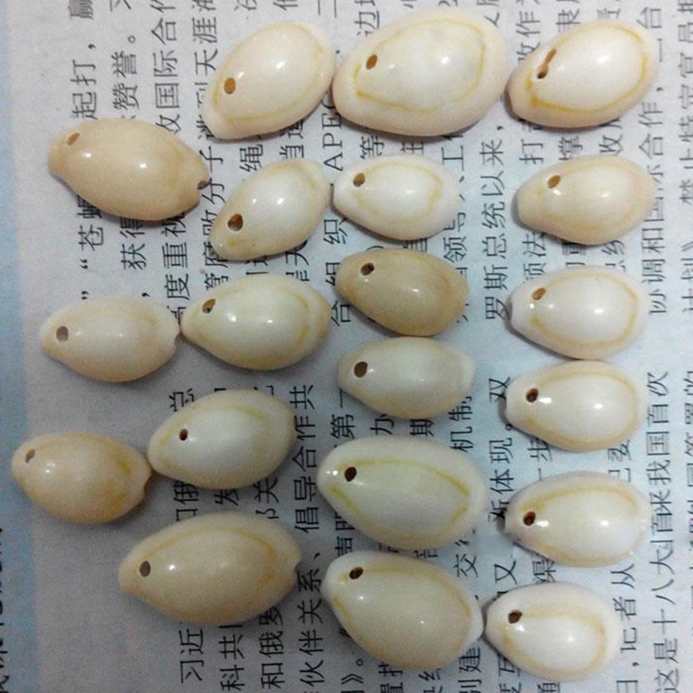 20Pcs Natural Shell Beads with Drilled Hole DIY Craft Tribal Jewelry Accessory Image 3