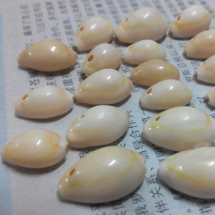 20Pcs Natural Shell Beads with Drilled Hole DIY Craft Tribal Jewelry Accessory Image 4