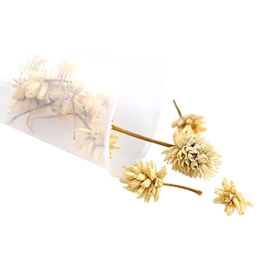 1 Bunch Pressed Dried Flower Branch Specimen Epoxy Resin Art Craft DIY Accessory Image 3