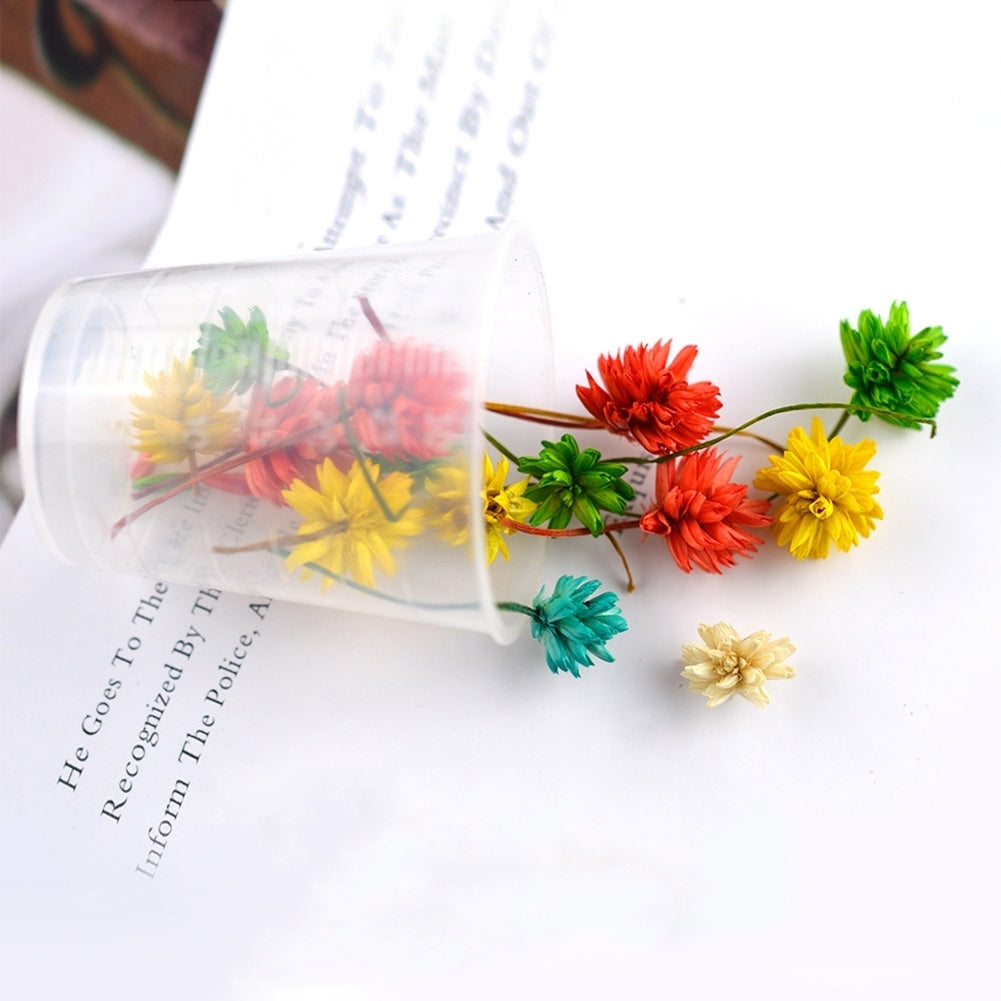 1 Bunch Pressed Dried Flower Branch Specimen Epoxy Resin Art Craft DIY Accessory Image 10