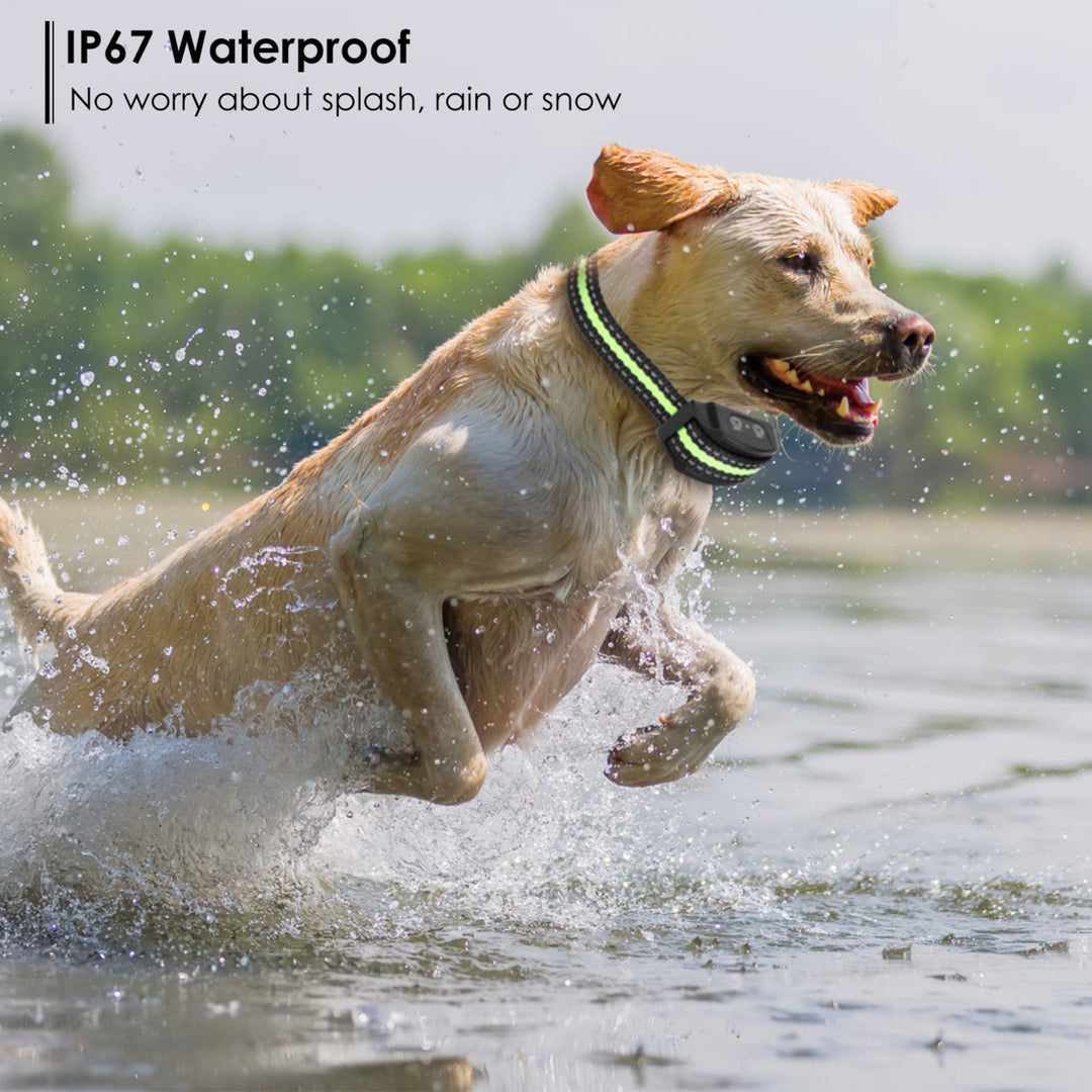 Anti-Bark Dog Collar IP67 Waterproof Beep Electric Shock Rechargeable Pet Training Device 7 Adjustable Sensitivity Image 4