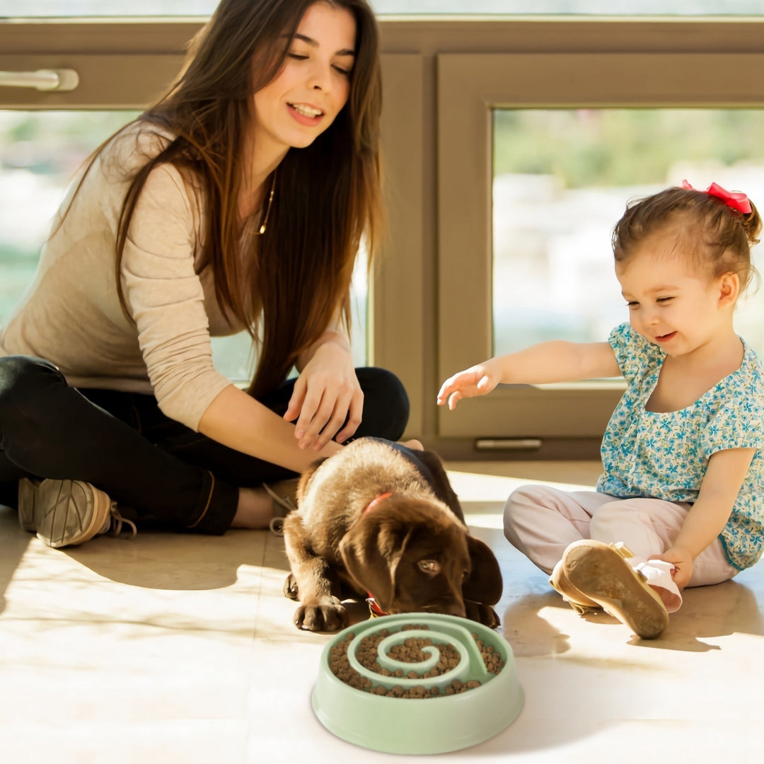 Slow Feeder Dog Bowl Puzzle Maze Healthy PP Mini Bowl Blue Pink Green 8.07in Image 2