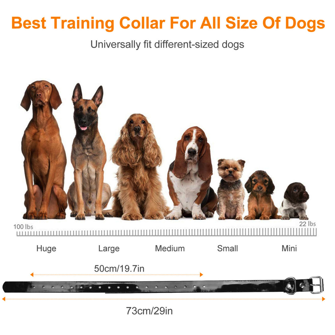 Dog Bark Collar IP67 Waterproof Rechargeable Dog Training Receiver Image 6