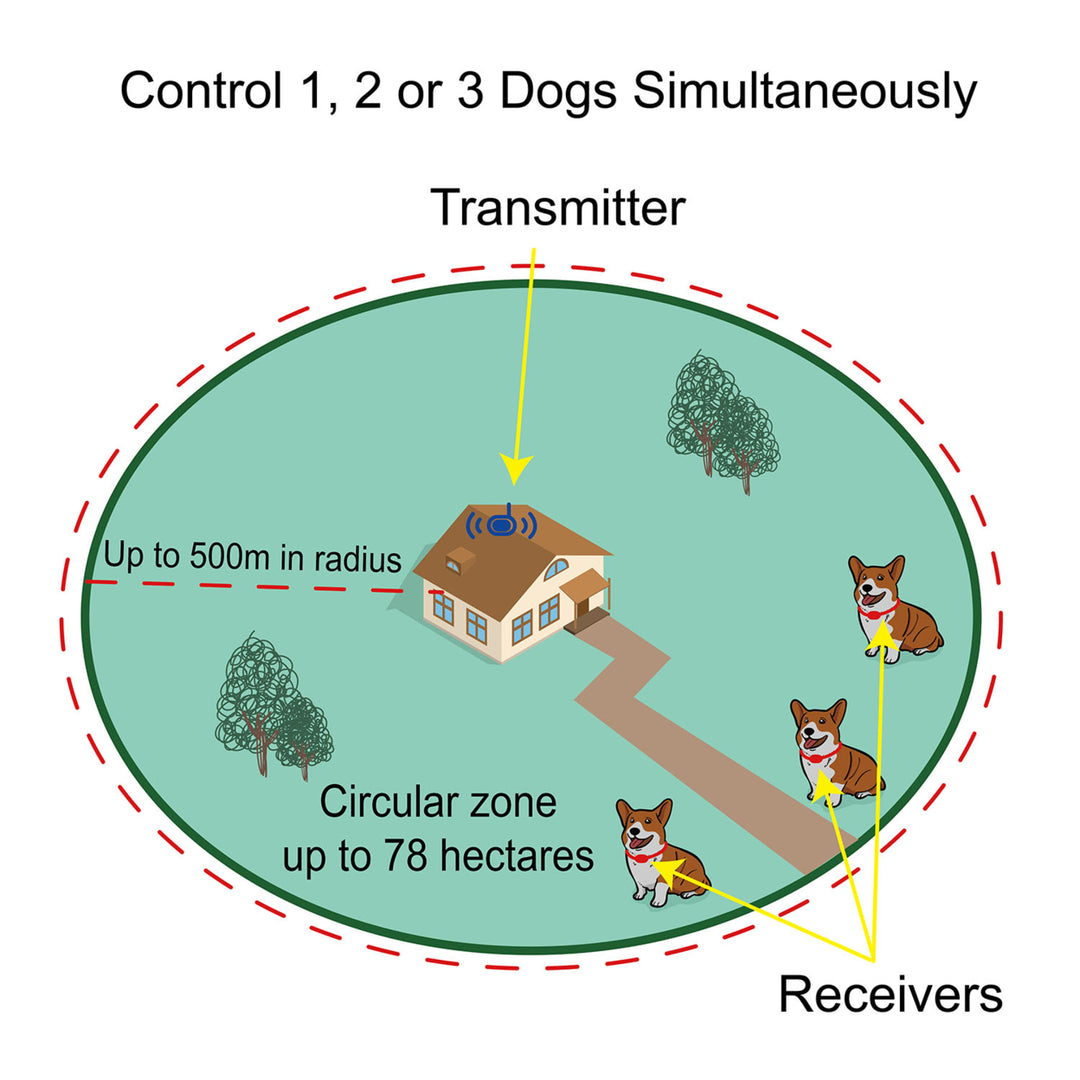 Rechargeable Wireless Dog Fence Training System Image 6