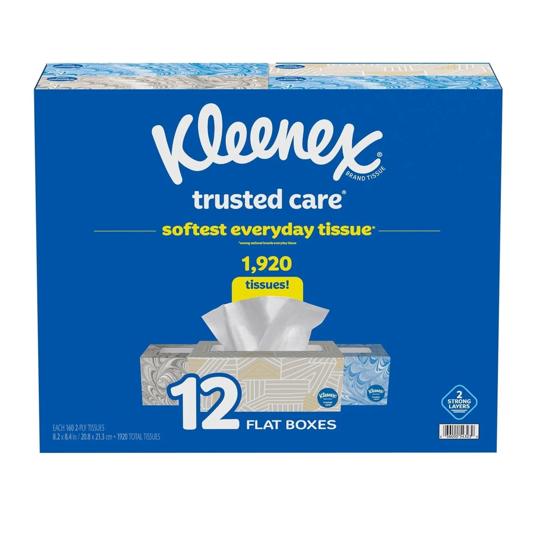 Kleenex Trusted Care 2-ply Facial Tissues Flat Boxes (160 Tissue/Box 12 Boxes) Image 2