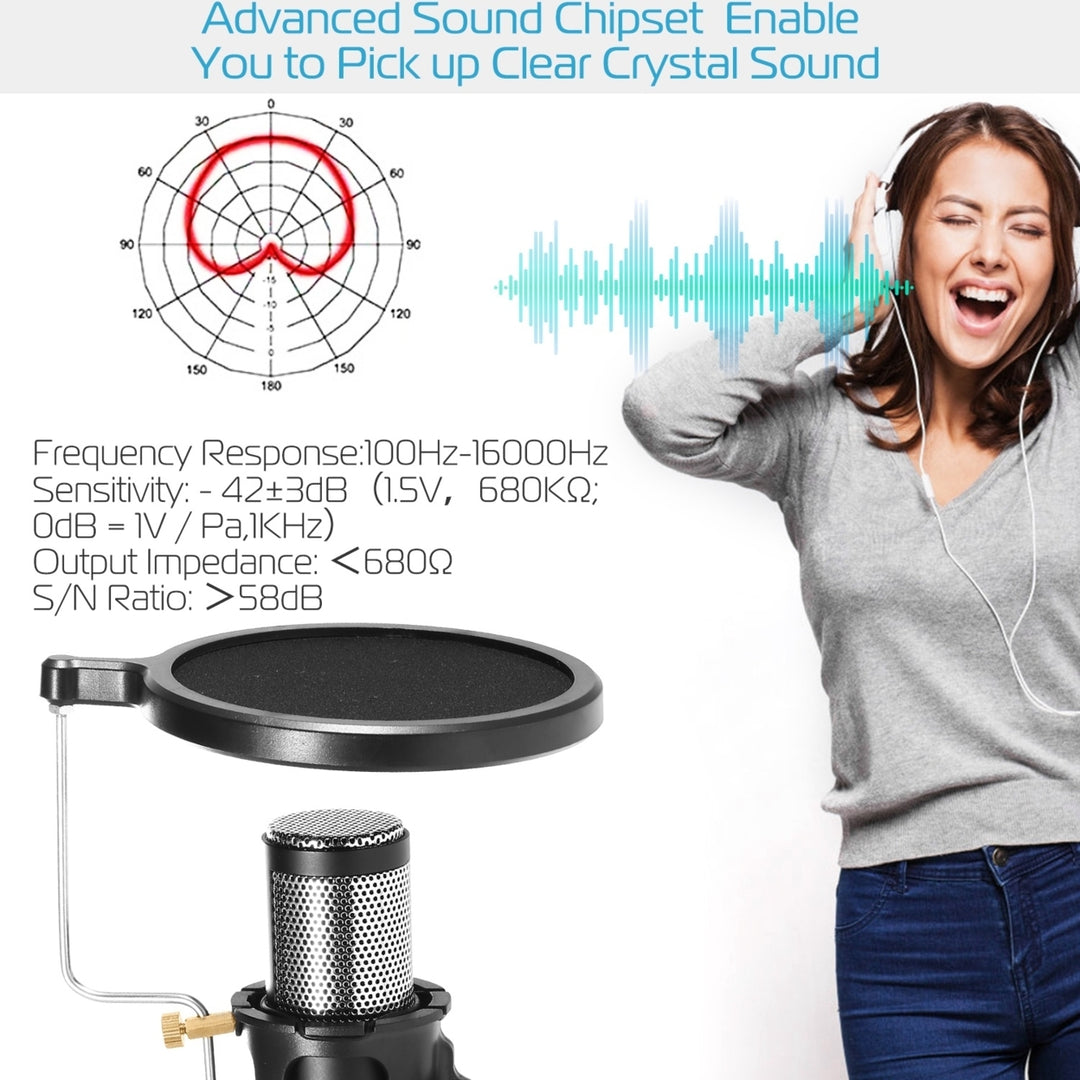 Professional Condenser Microphone Studio Recording Cardioid Microphone Image 3