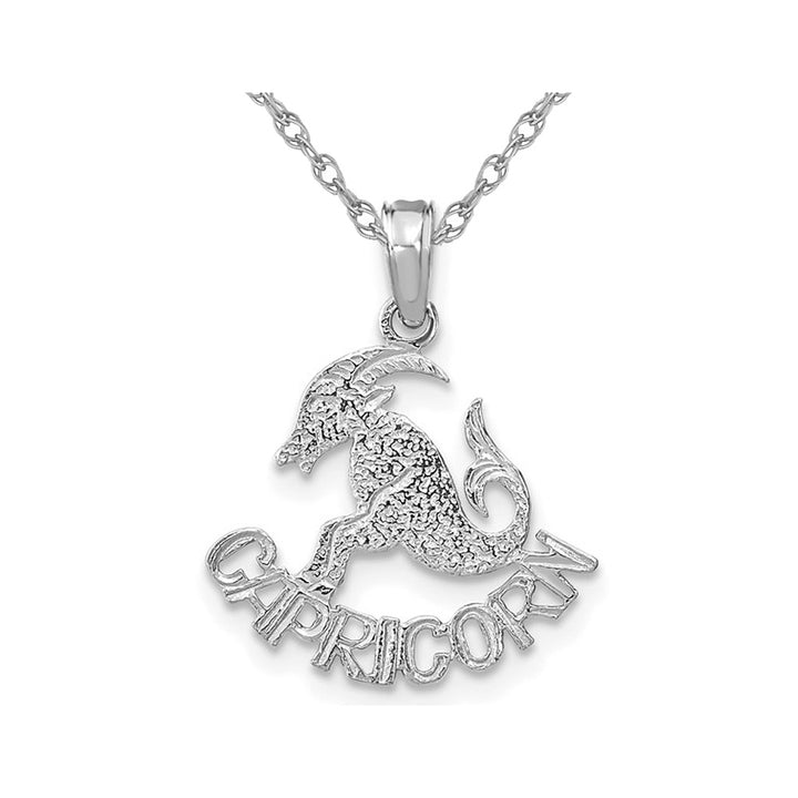 14K White Gold CAPRICORN Zodiac Charm Astrology Zodiac Pendant Necklace with Chain Image 1