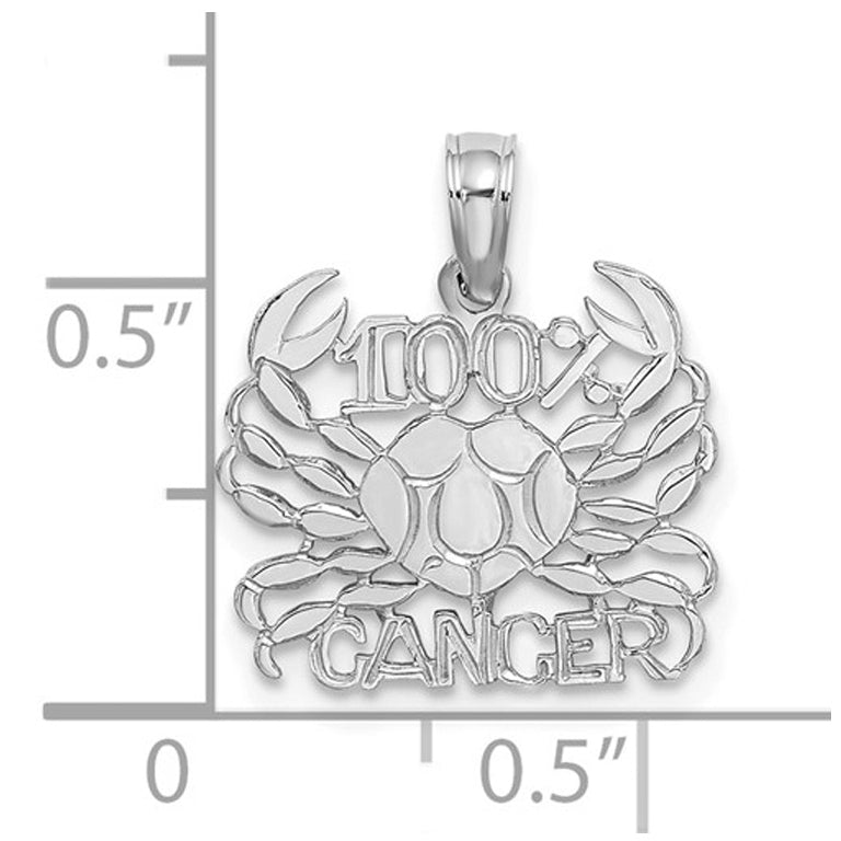 14K White Gold 100% CANCER Zodiac Charm Astrology Zodiac Pendant Necklace with Chain Image 3