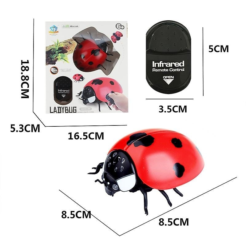 Simulation Insect Infrared Remote Control Animal Toy Rc Scorpion Spider Ladybug Kids Gift Image 7