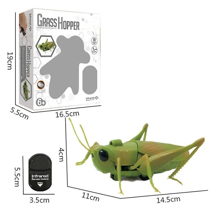 Simulation Insect Infrared Remote Control Animal Toy Rc Scorpion Spider Ladybug Kids Gift Image 9