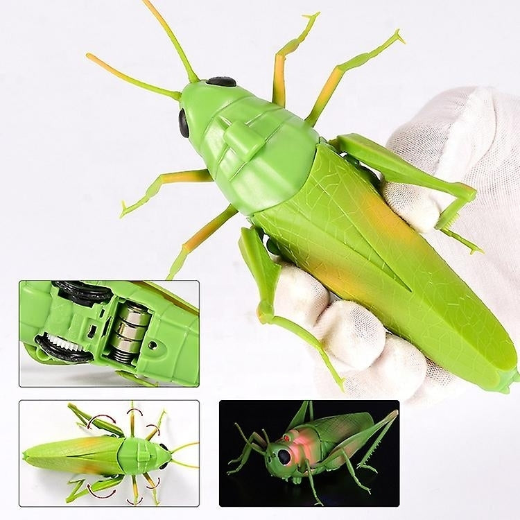 Simulation Insect Infrared Remote Control Animal Toy Rc Scorpion Spider Ladybug Kids Gift Image 10