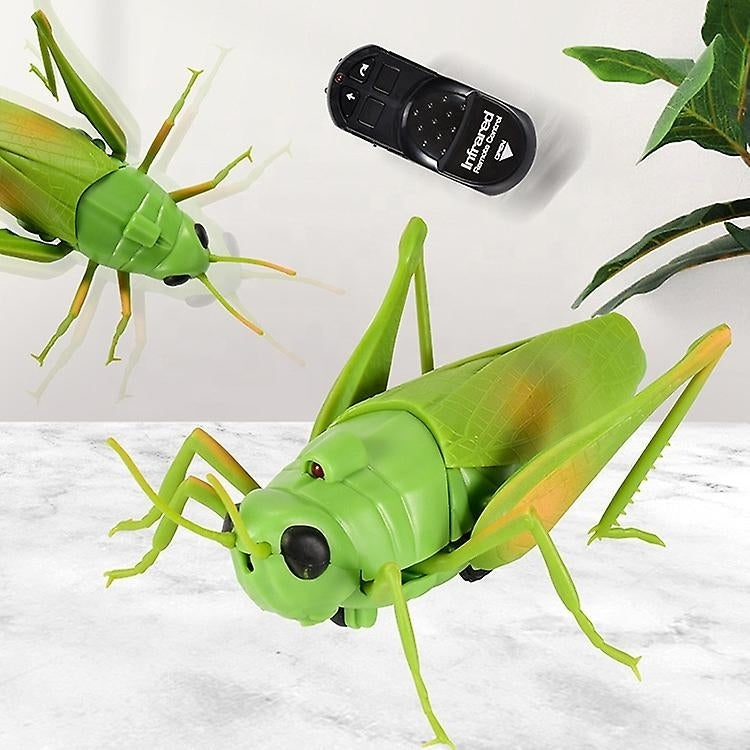 Simulation Insect Infrared Remote Control Animal Toy Rc Scorpion Spider Ladybug Kids Gift Image 11