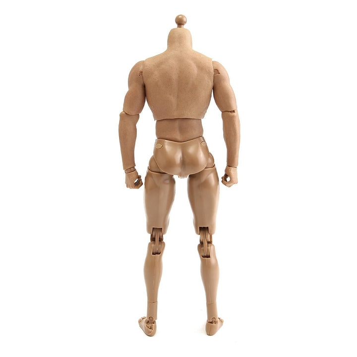 1,6 Scale Action Figure Male Nude Muscular Body 12" Plastic Toy for TTM18,19 Image 3