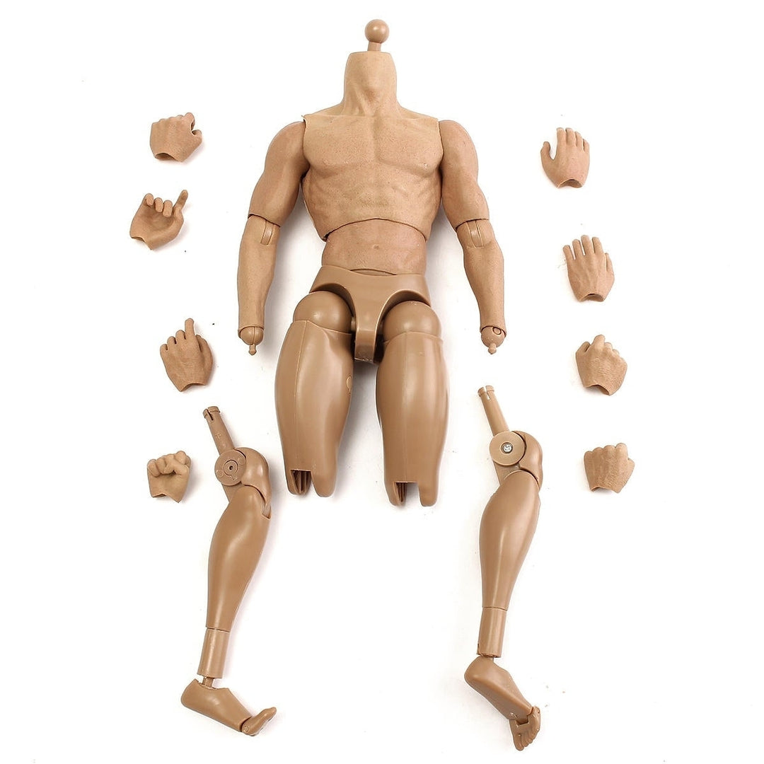1,6 Scale Action Figure Male Nude Muscular Body 12" Plastic Toy for TTM18,19 Image 6