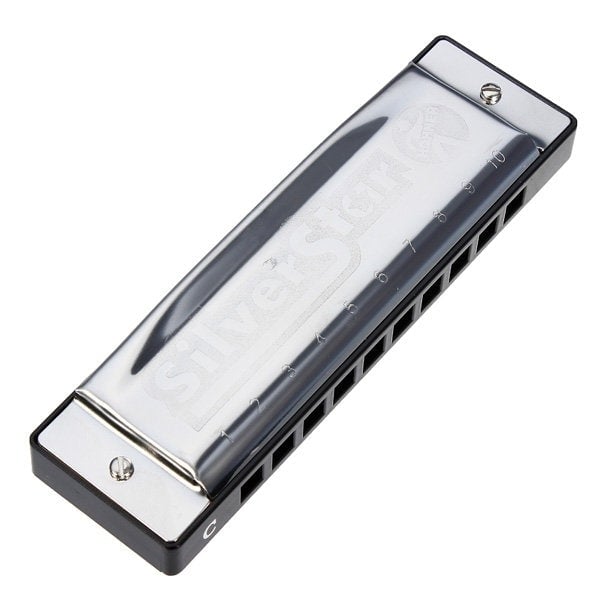 10 Holes C Key Blues Harmonica Image 7