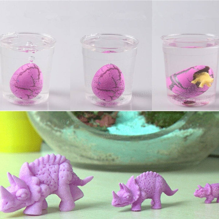10PCS Hatching Growing Dinosaur Dino Eggs Add Water Magic Cute Children Toy Gift Image 6