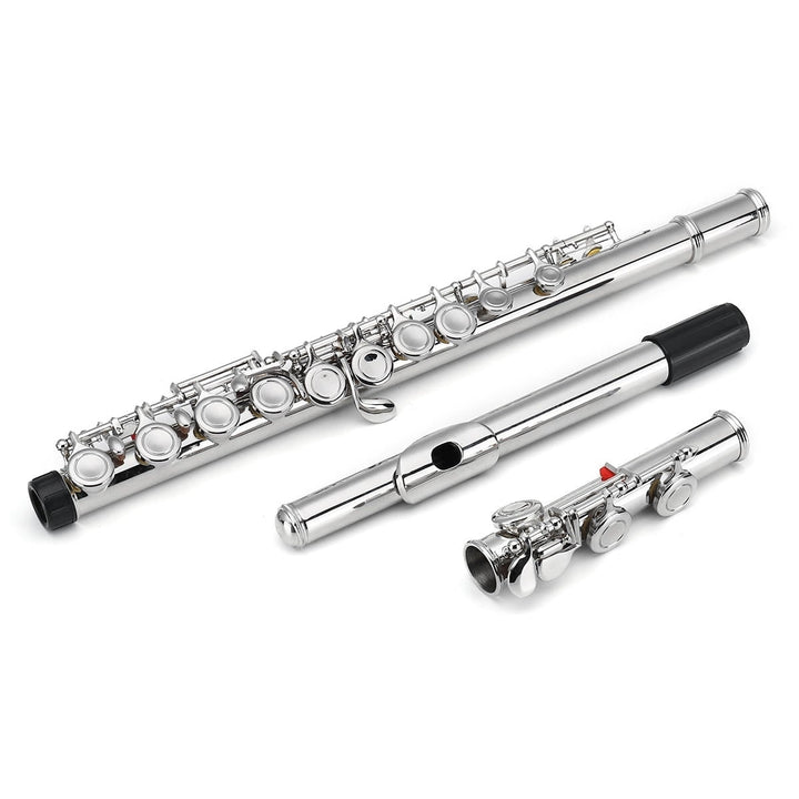 16 Holes C Key Colored Flute Nickel Plated Silver Tube Woodwind Instrument with Box Image 2