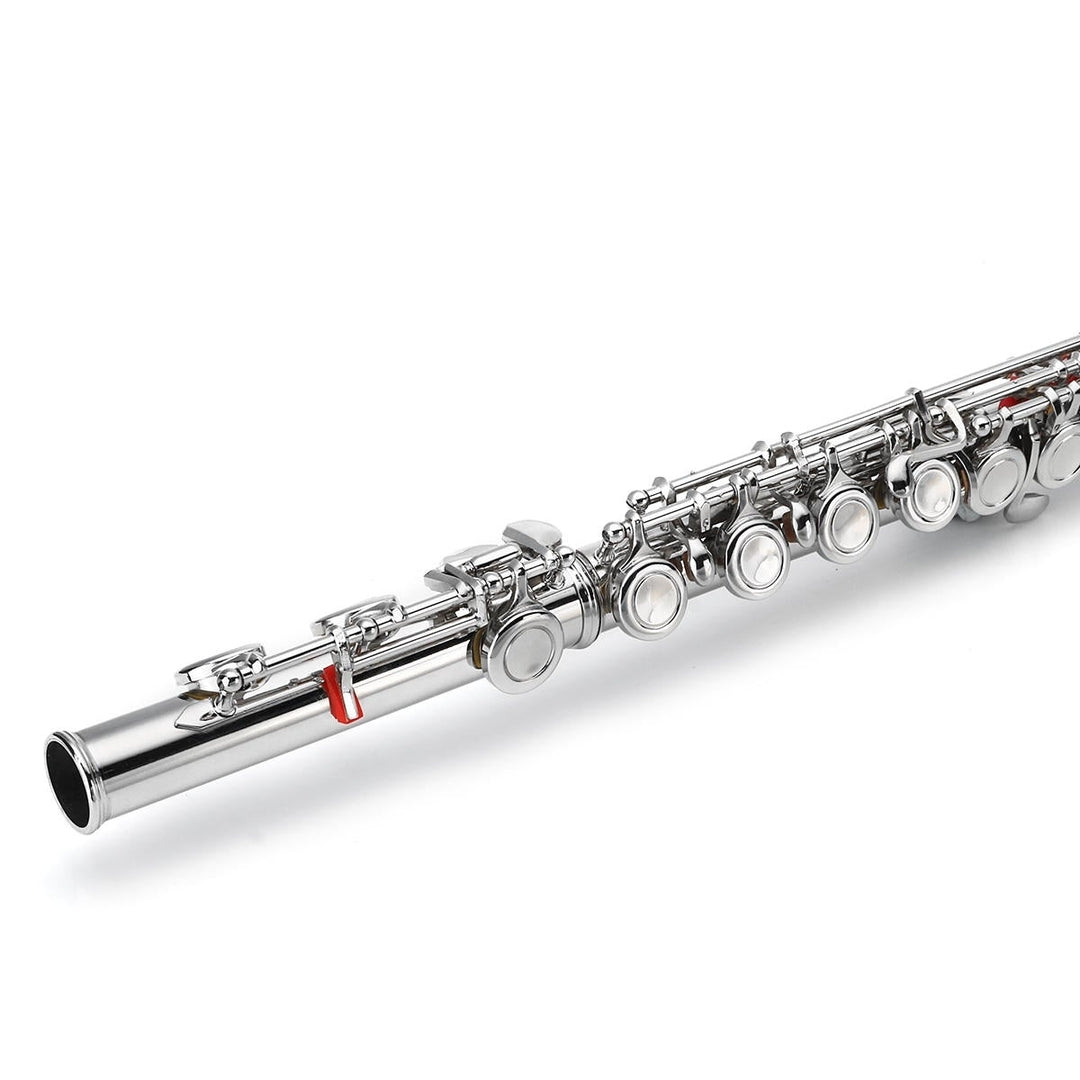16 Holes C Key Colored Flute Nickel Plated Silver Tube Woodwind Instrument with Box Image 3