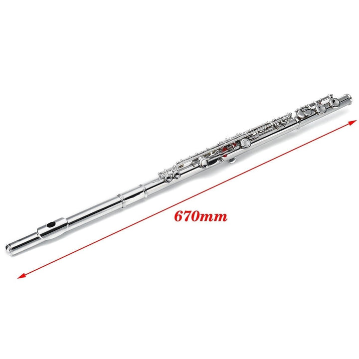 16 Holes C Key Colored Flute Nickel Plated Silver Tube Woodwind Instrument with Box Image 4