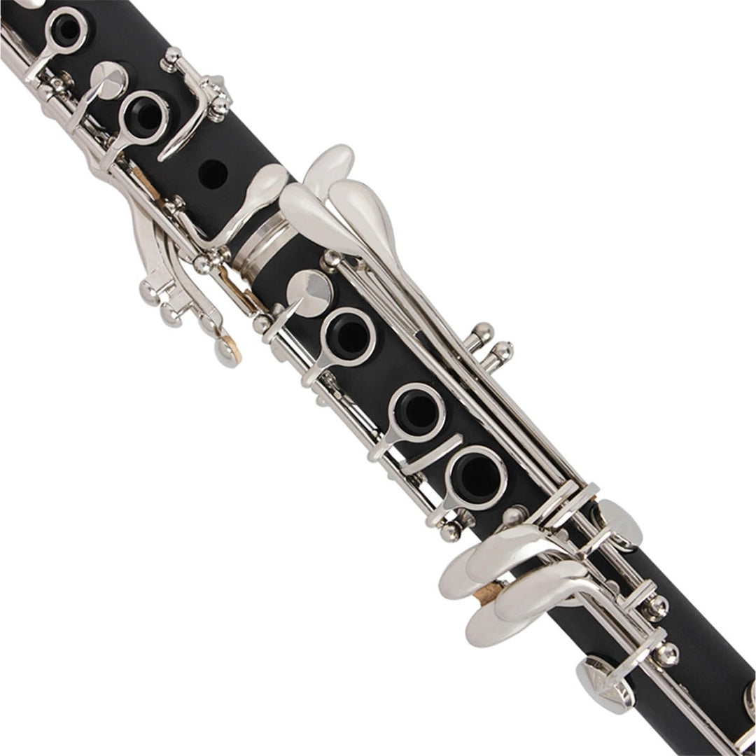 17 key Bb Adjustable Gum Wood Clarinet with Case,Bass StripReed,Screwdriver,Gloves Image 6