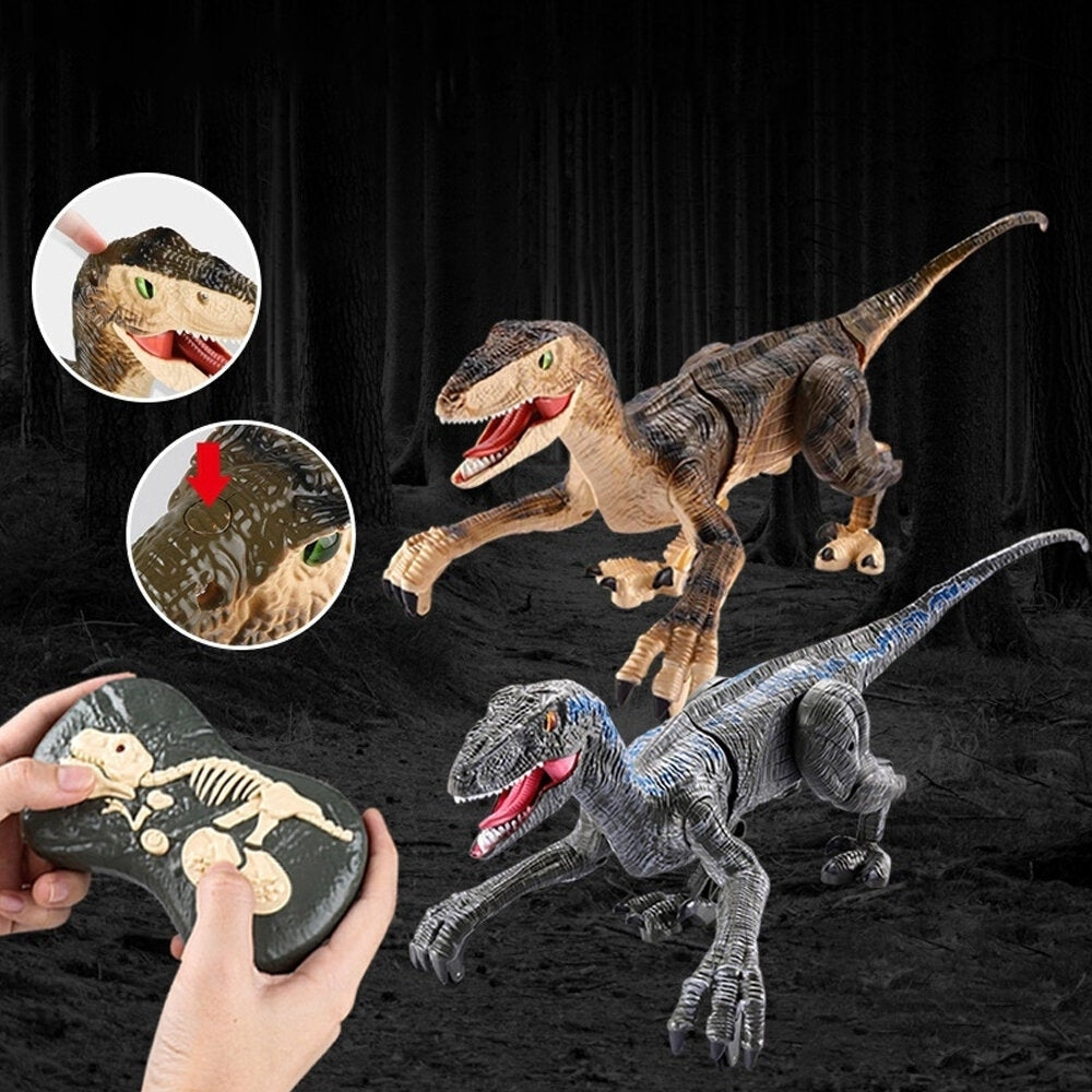 2.4G 5 Channel Remote Control Raptor Velociraptor Dinosaur Model with Sound and Light Toys Childrens Gifts Image 7