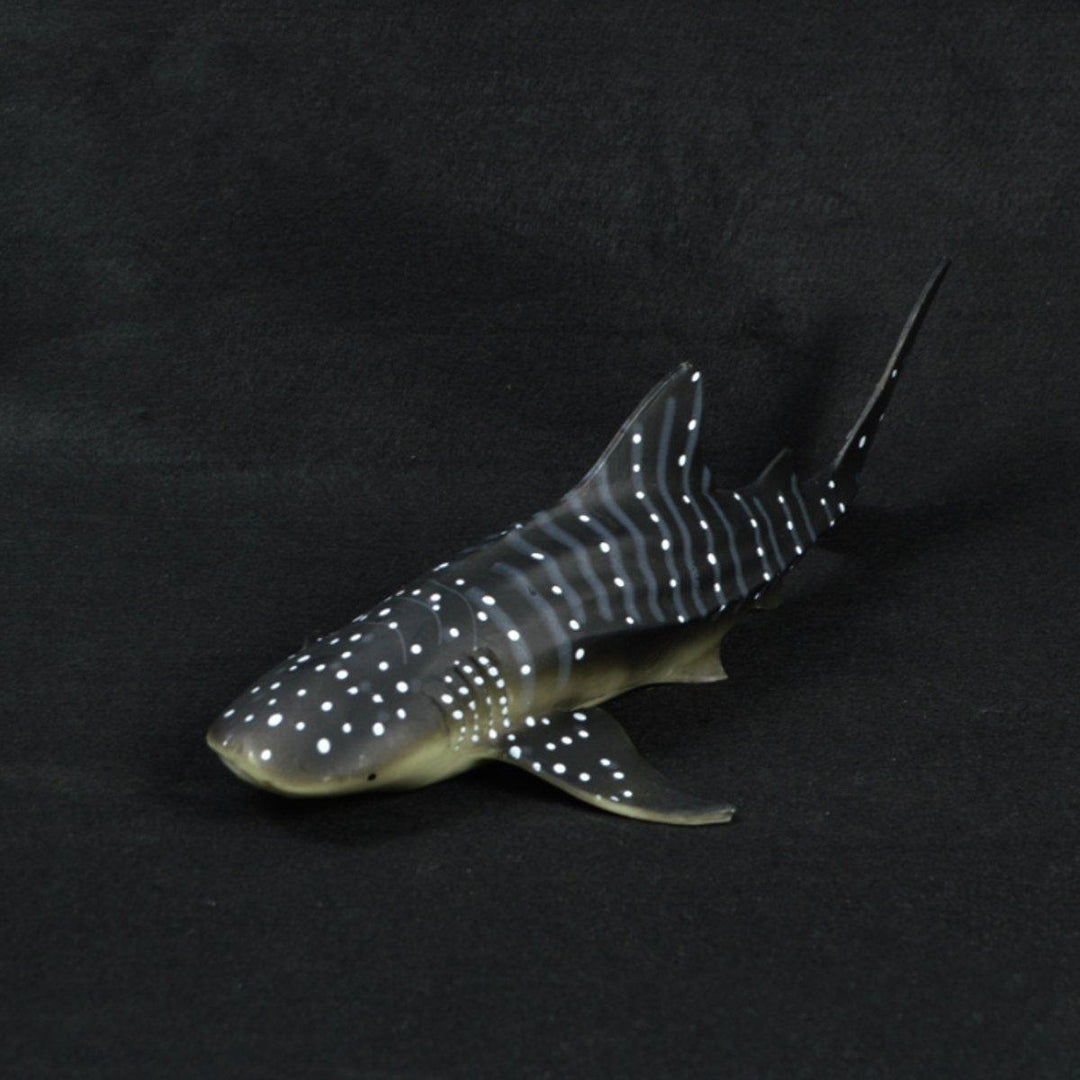 28cm Realistic Whale Shark Sea Animal Figure Solid Plastic Ocean Toy Diecast Model Image 3