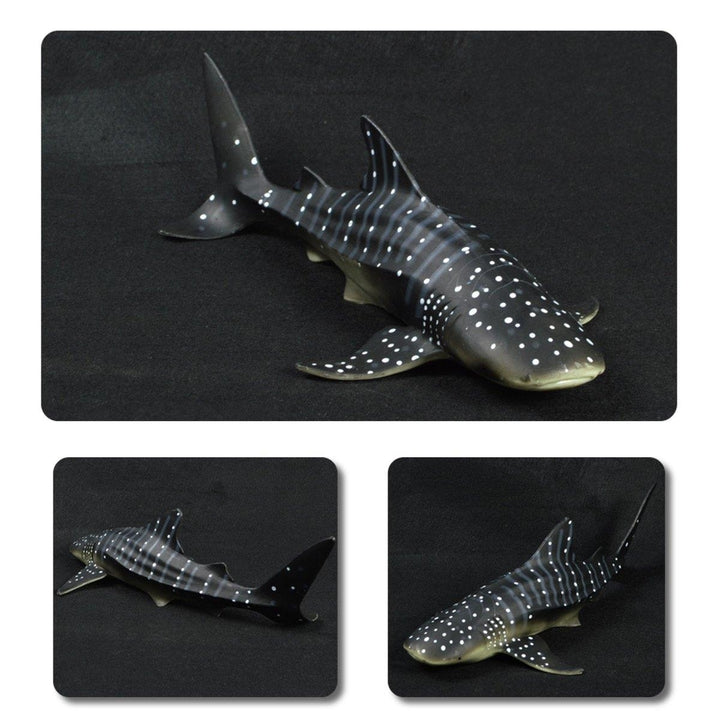 28cm Realistic Whale Shark Sea Animal Figure Solid Plastic Ocean Toy Diecast Model Image 4