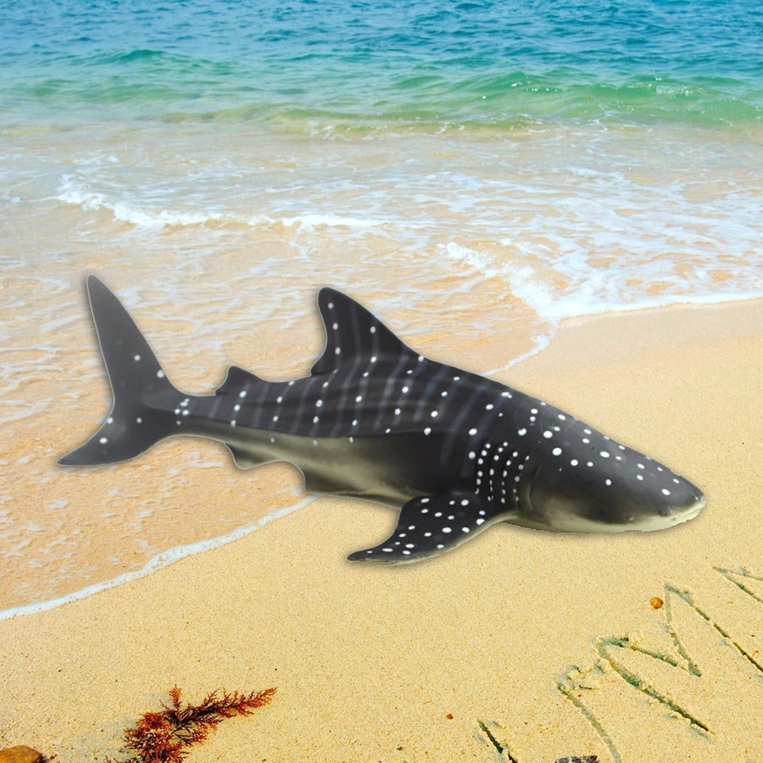 28cm Realistic Whale Shark Sea Animal Figure Solid Plastic Ocean Toy Diecast Model Image 6