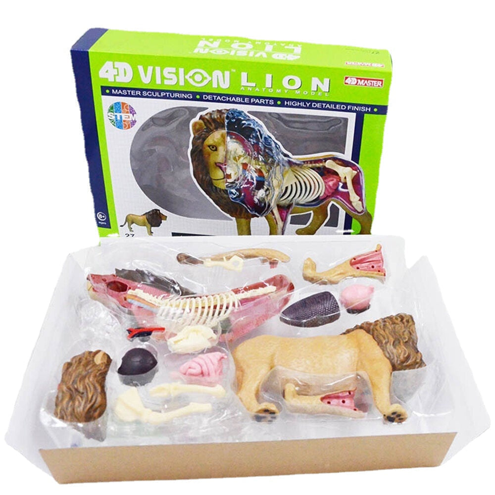 4D Lion Beast Wild Animal Internal Organs Anatomy Teaching Model Puzzle Assembly Toy Image 1